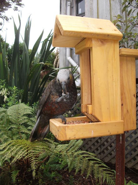 Kaka Retreat Motel, Stewart Island Half-moon Bay Exteriör bild